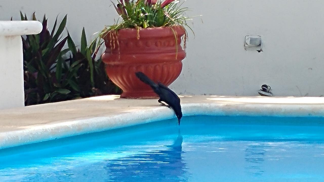 Sun Suites Cozumel Buitenkant foto
