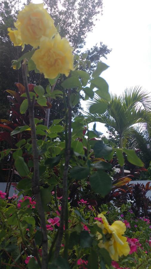 Sun Suites Cozumel Buitenkant foto